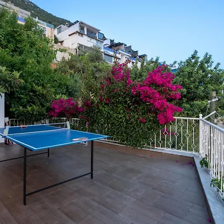 Villa Baris