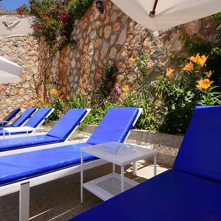 Villa Baris *