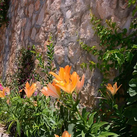 Baris * Kalkan