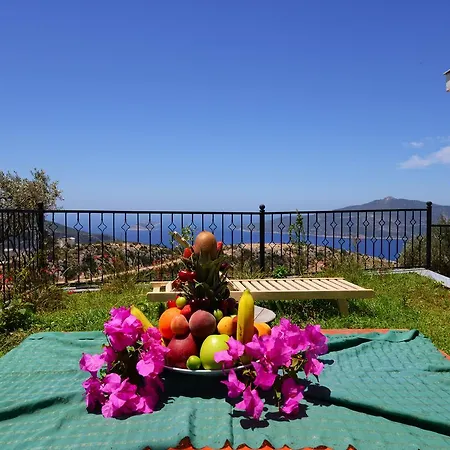 Baris Villa